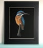 'Kingfisher Perching' a limited edition, mounted, Giclee print of a kingfisher