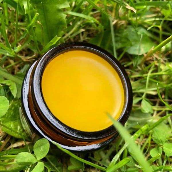 Dandelion Ointment 60 ml 