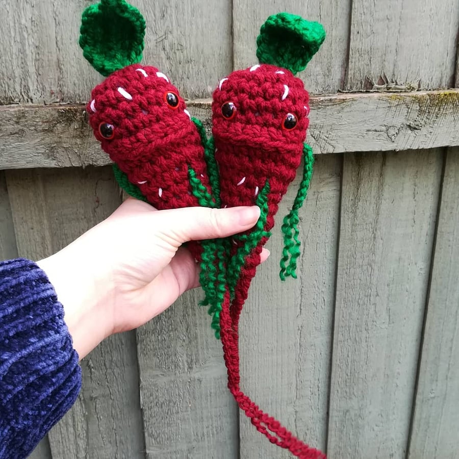 Strawberry Mandrake Seedling