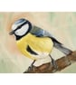 Blue Tit Bird Art print, Watercolour Painting, available in A4 and A5