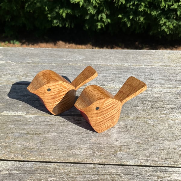 Oak Wood Robin (B1)