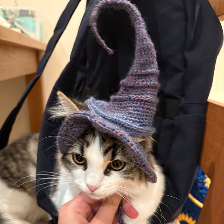 Crochet cat witch hat 