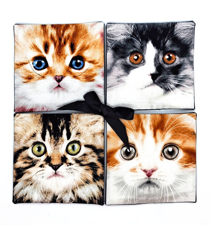 Curious cats coasters 319MF