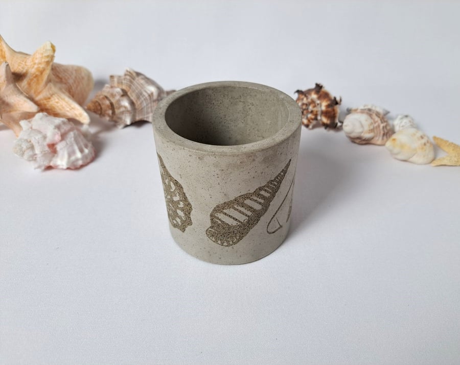 Engraved Seashell Concrete Cylindrical Holder