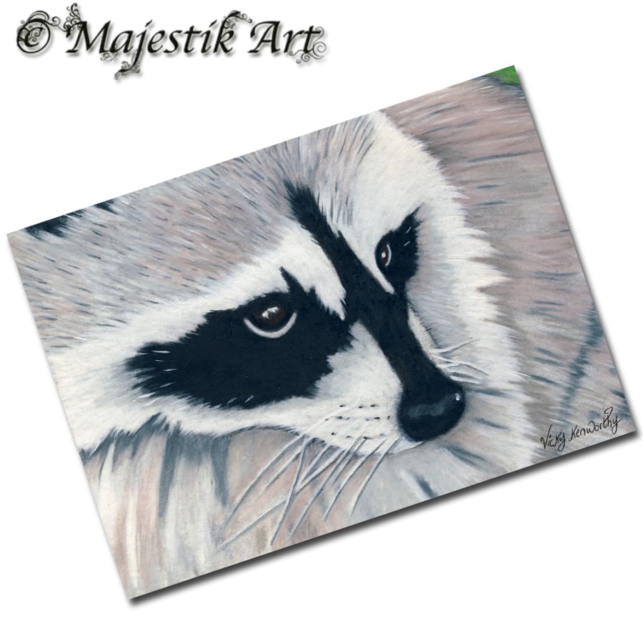 Archival ACEO Raccoon Print 'Bandit' By V Kenworthy