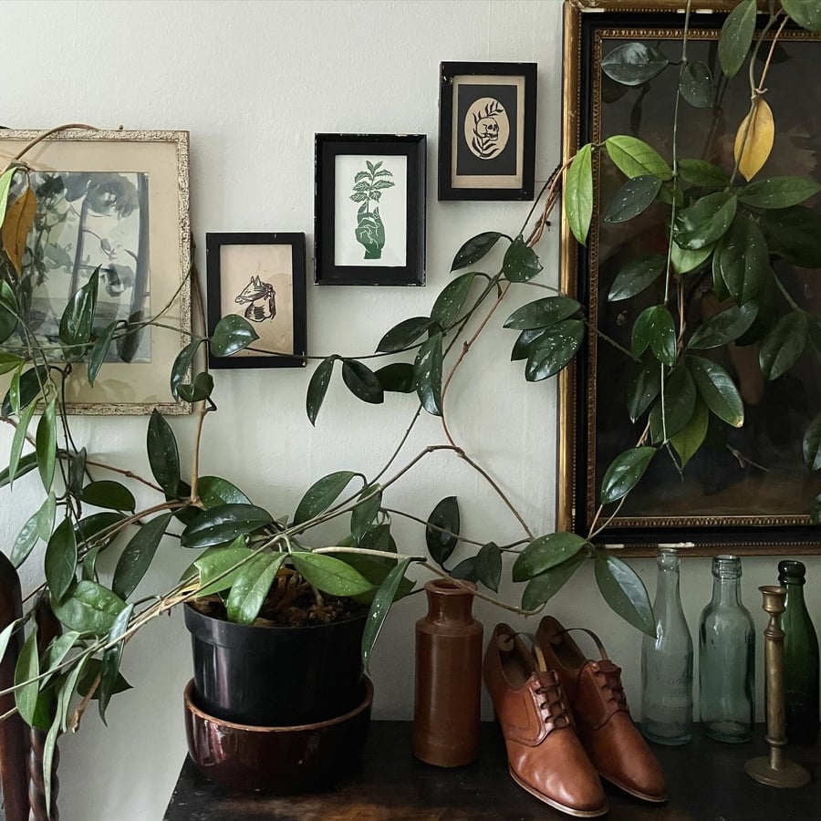 Small Framed Linocut Prints