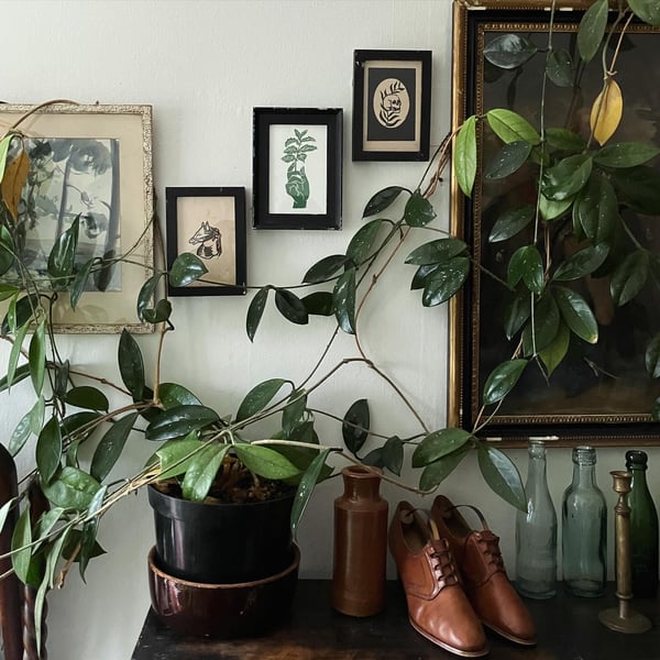 Small Framed Linocut Prints