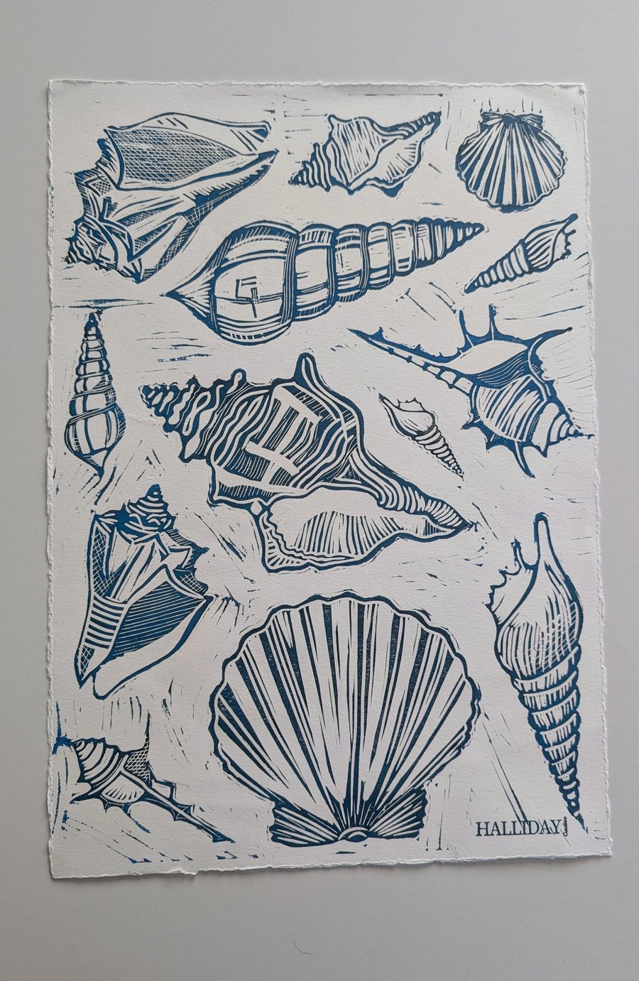 Multi Shell Lino Print (Blue)