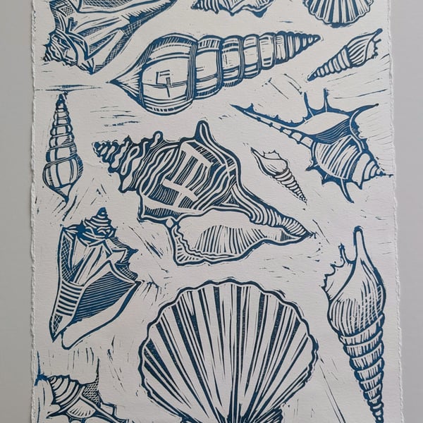 Multi Shell Lino Print (Blue)