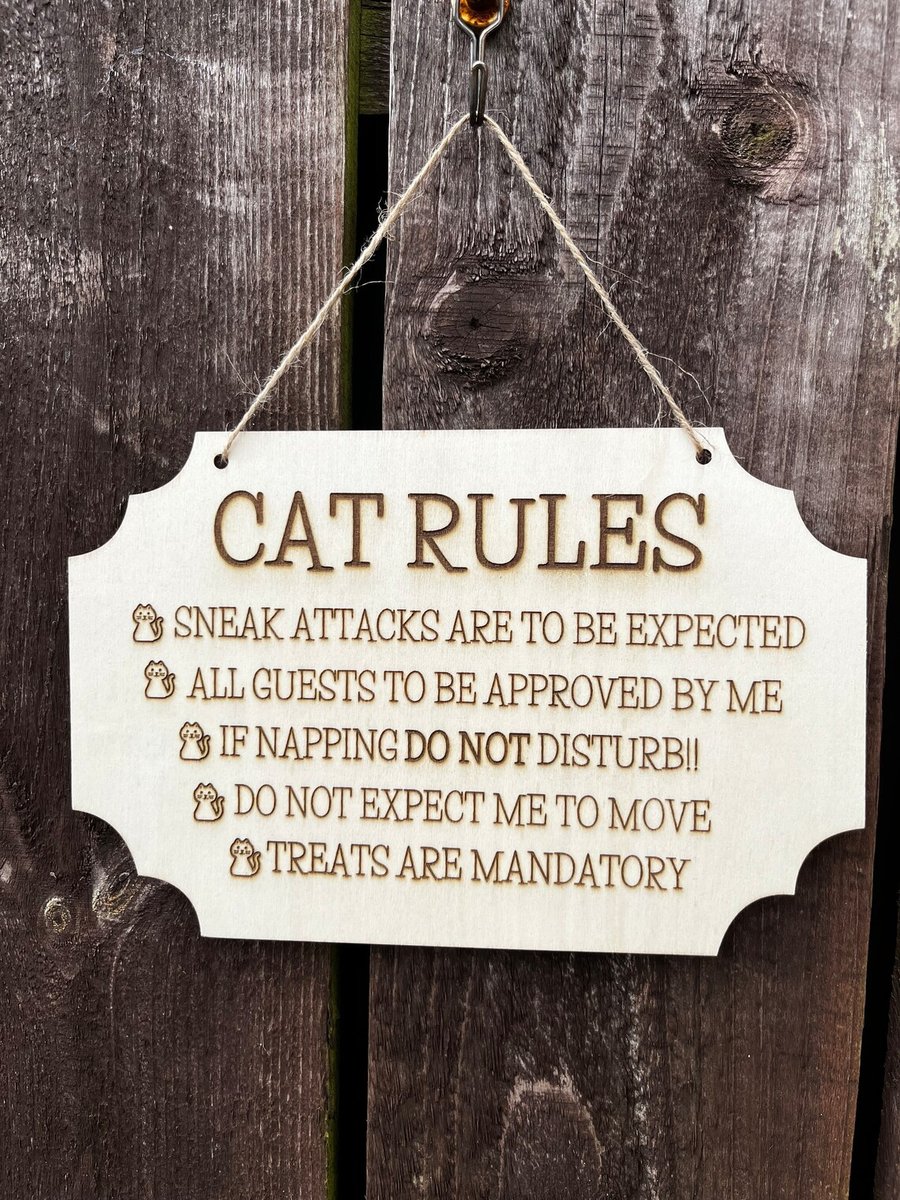 Cats Rules Wall Decoration , Hanging Wall Ornament For Cat Lovers , Owners