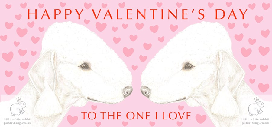 Bedlington Terrier Nose to Nose - Valentine Card