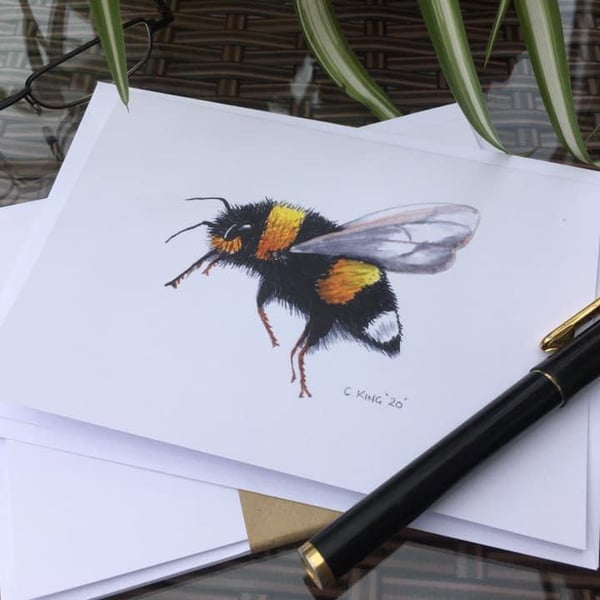 Bumble Bee greetings cards pack of five