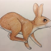 Embroidery illustration