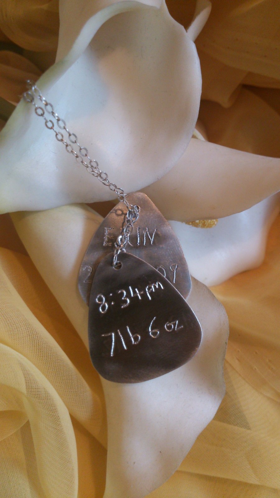 Plectrum style dog tags