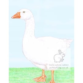 Goose - Blank Card