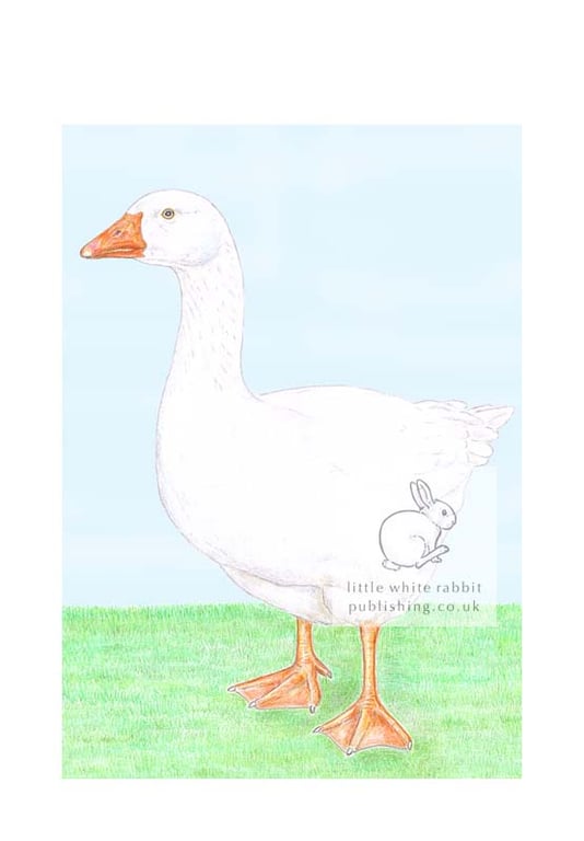 Goose - Blank Card