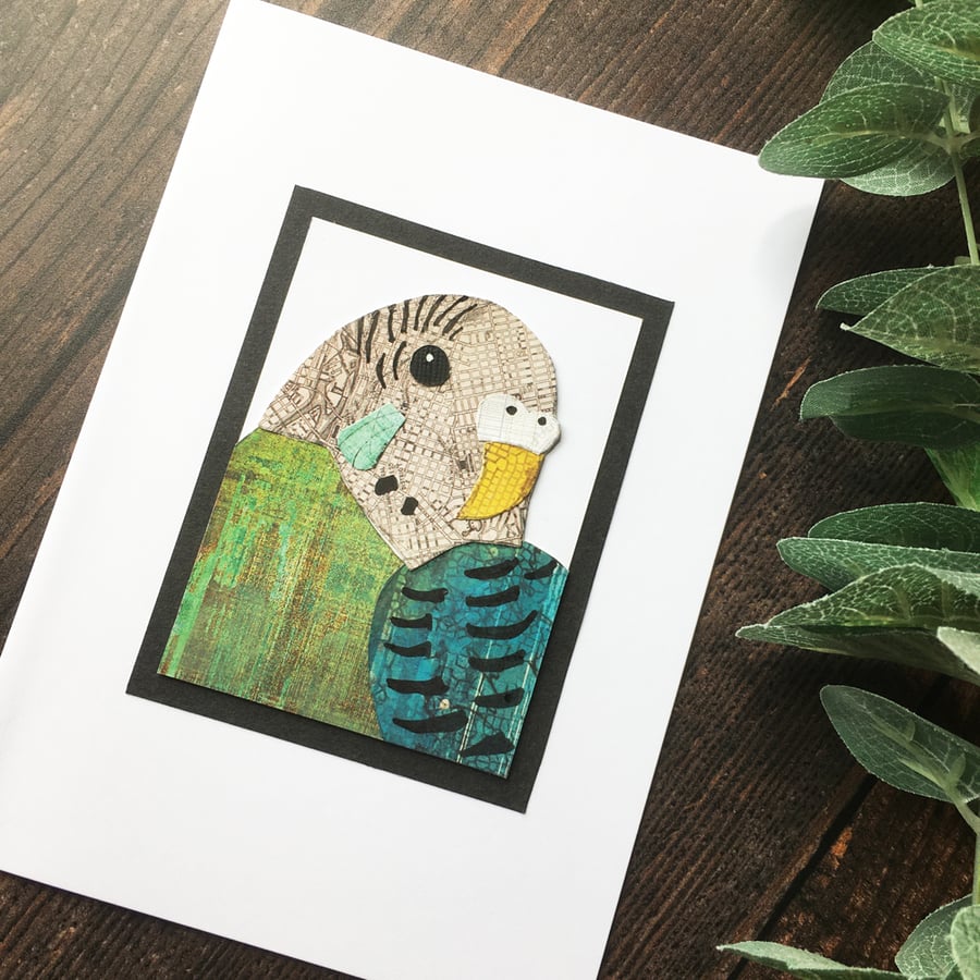 Budgie card, collage budgerigar, handmade card for budgie lover