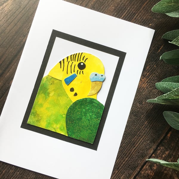 Handmade budgie card, green budgerigar, card for budgie lover