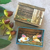 Matchbox art. Diorama -  Rabbits in hutch. 