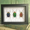 Embroidered beetle, beaded beetle, gift for beetle lover, beetle picture
