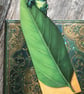 Bookmark, gift for a frog lover, quirky bookmark, frog on a leaf, reed frog - Image 2