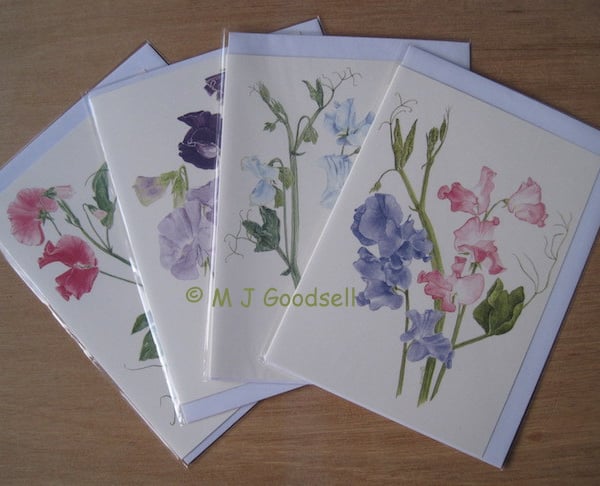Sweet Pea Cards - set of 4 A5 cards