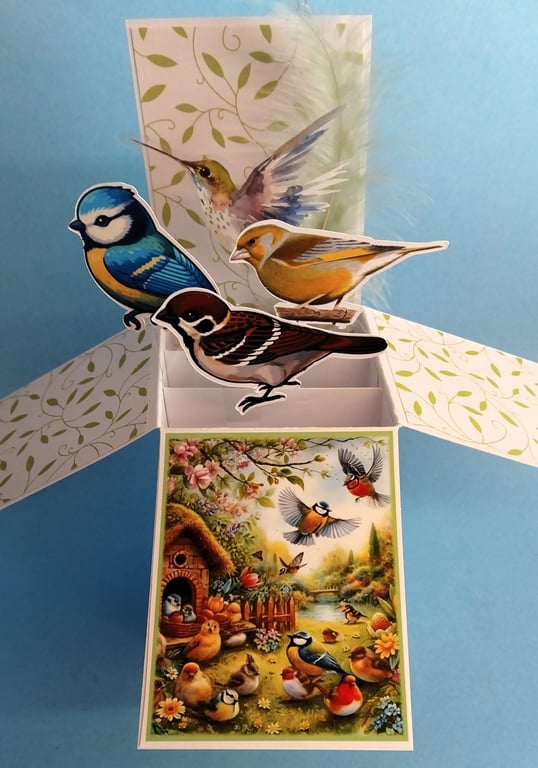 Ladies Birthday Card With Garden Birds