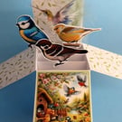 Ladies Birthday Card With Garden Birds