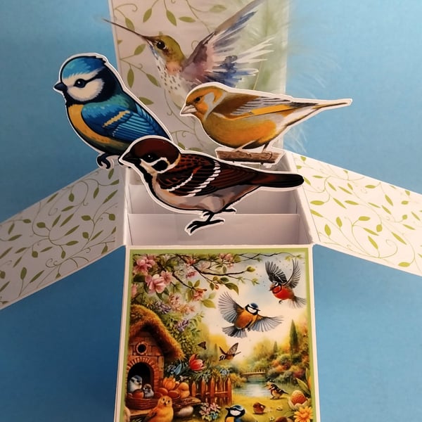 Ladies Birthday Card With Garden Birds