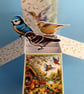 Ladies Birthday Card With Garden Birds