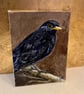 ACEO blackbird on a branch original miniature painting  - Image 2