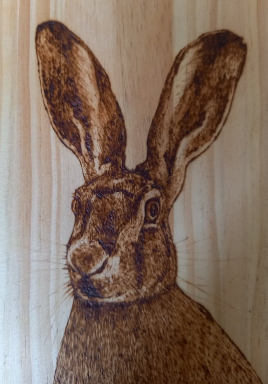 Pyrography large & long Hare wooden board hanging decoration or chopping board