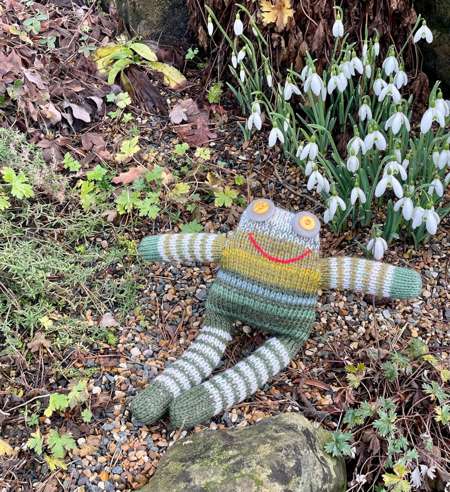 Frog had knitted doll