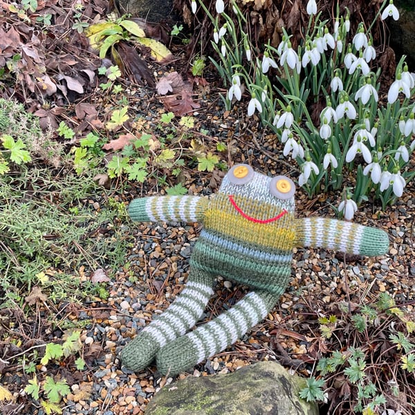 Frog had knitted doll