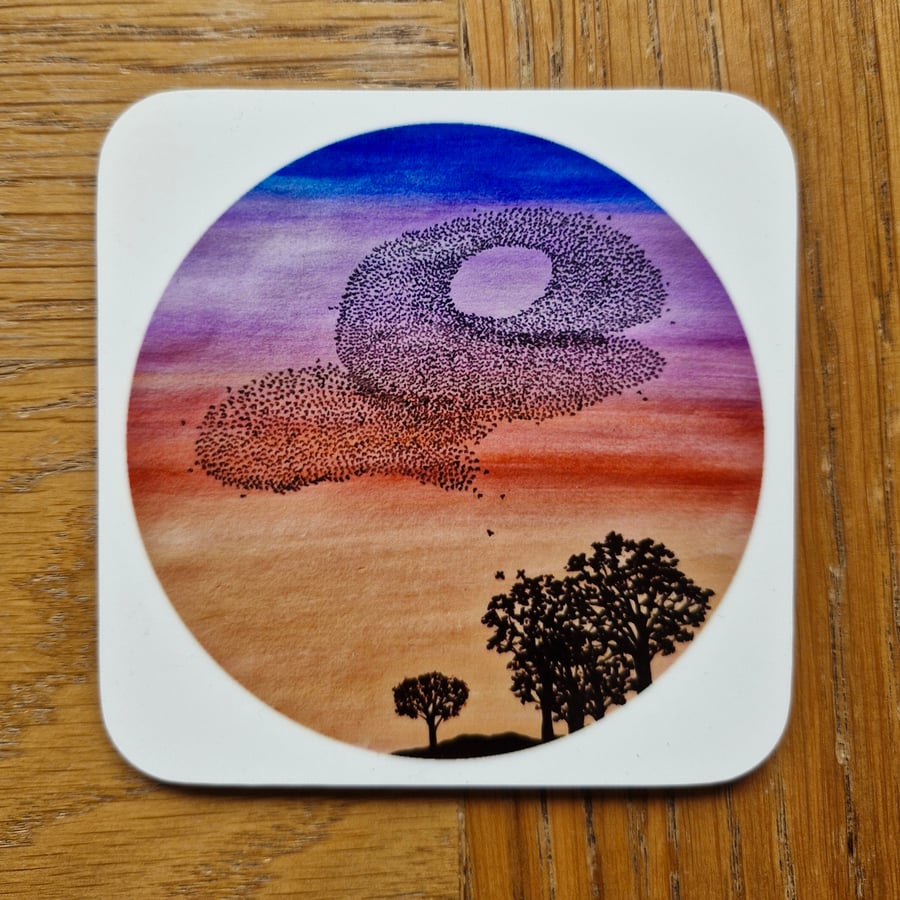 Murmuration Coaster