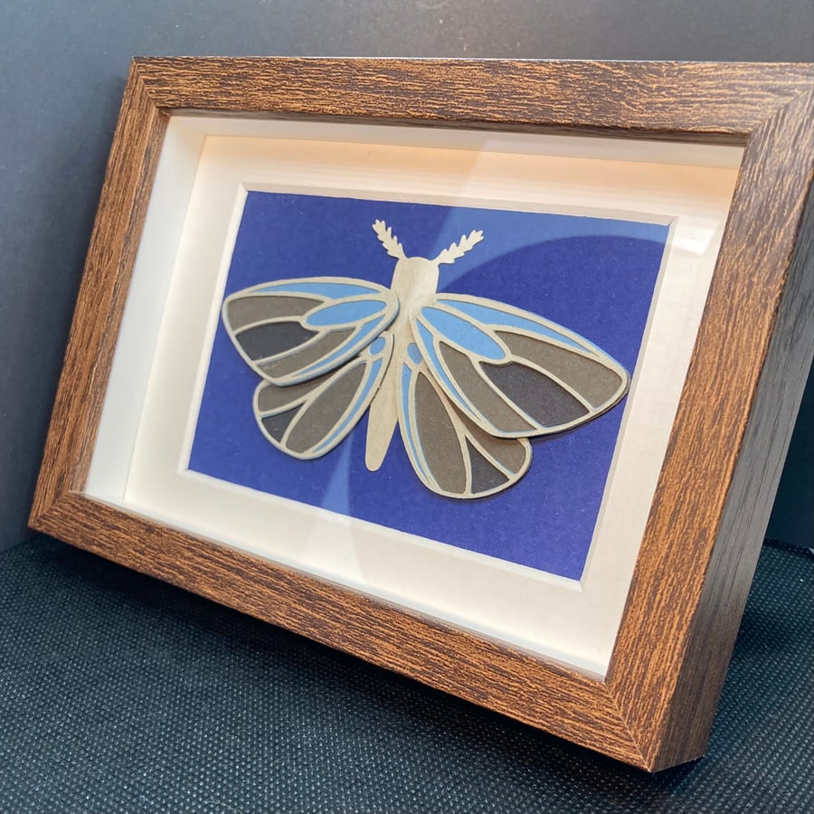 Framed Papercut Art Kit - Moth