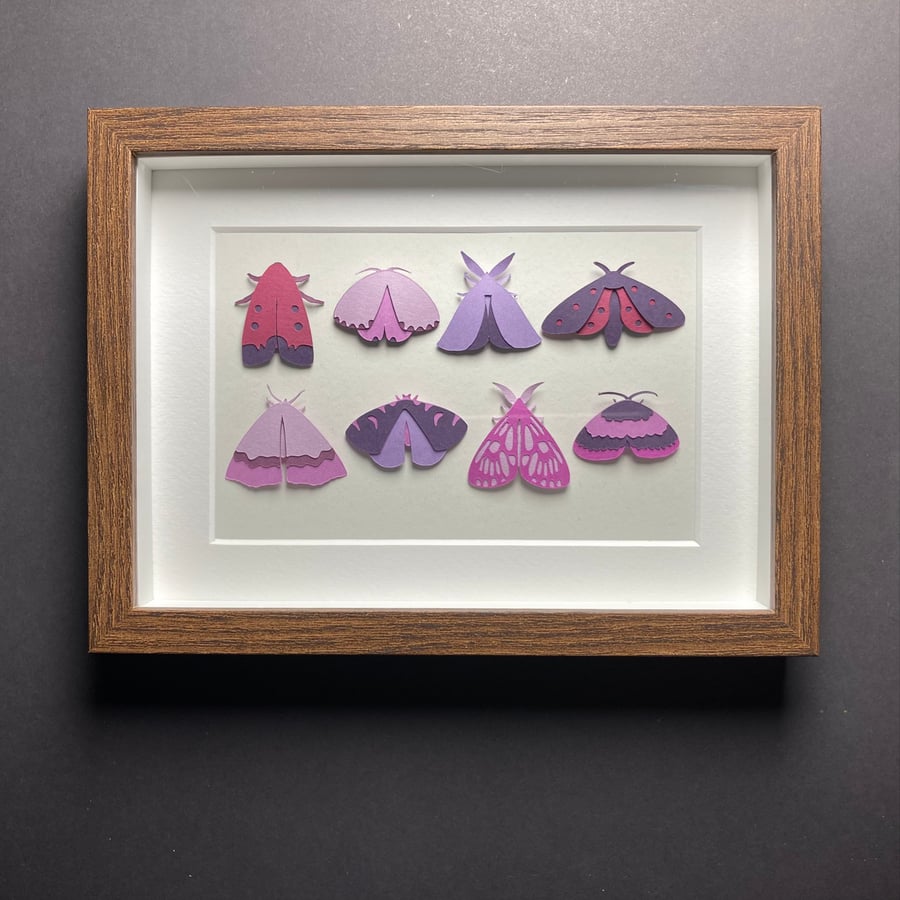 Framed Papercut Moth Picture