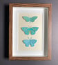 Framed Papercut Butterfly Picture