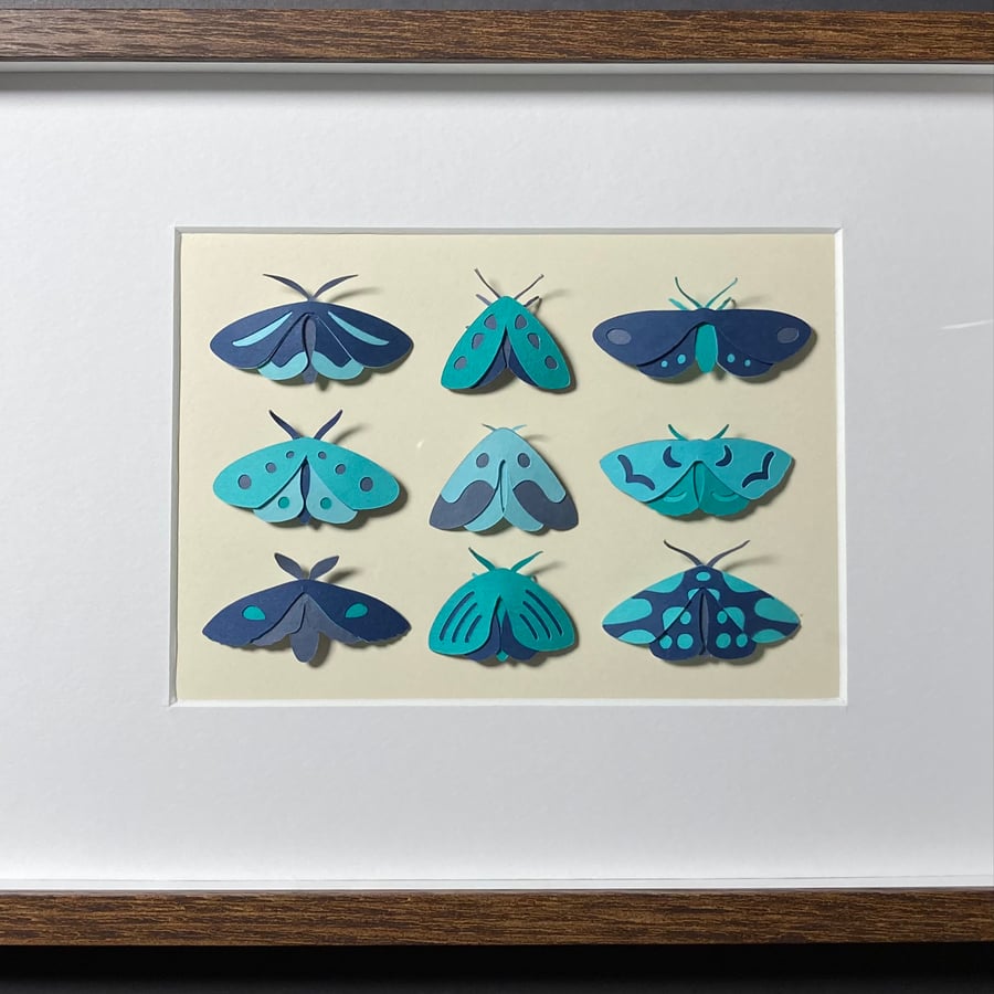 Framed Papercut Moth Picture