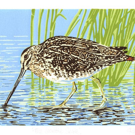 Common Snipe wading bird - Limited Edition Linocut Reduction Print