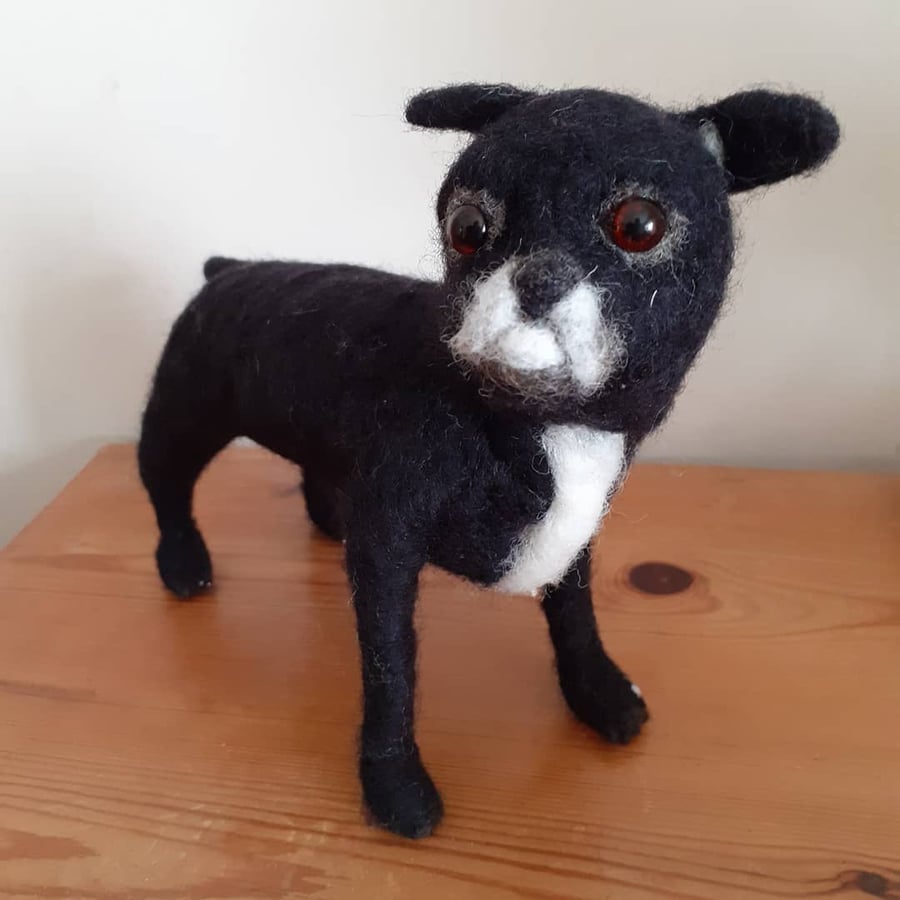 Chihuahua dog pet sculpture ooak,collectable 