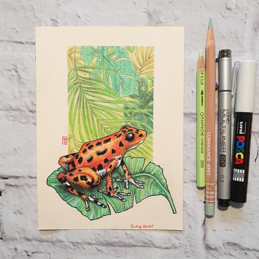 Strawberry Poison Dart Frog drawing, Frog wall art, small original artwork