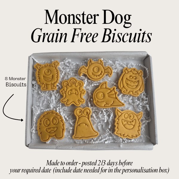 Dog Monster treat box, Homemade sea life biscuits 