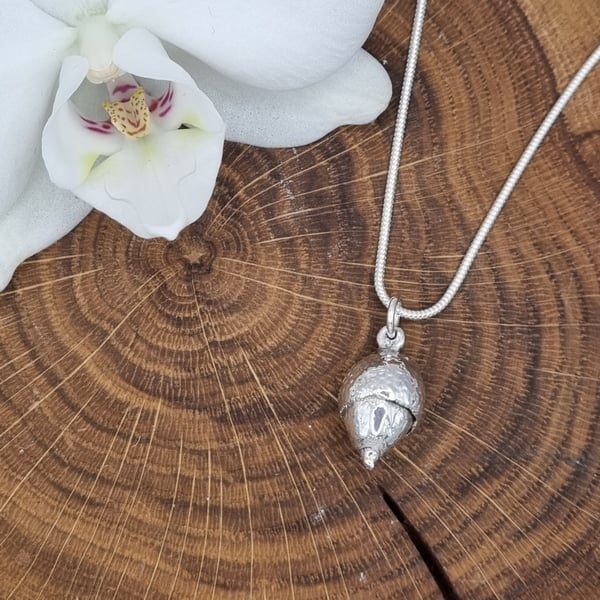 Real acorn preserved in silver, pendant necklace