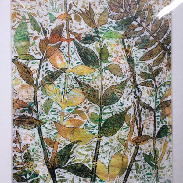 Original Artwork of Botanical Images