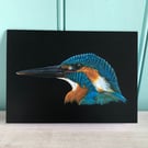 'Kingfisher Portrait 1', A5, Bird Art greetings card.