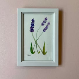 Lavender painting - watercolour unframed