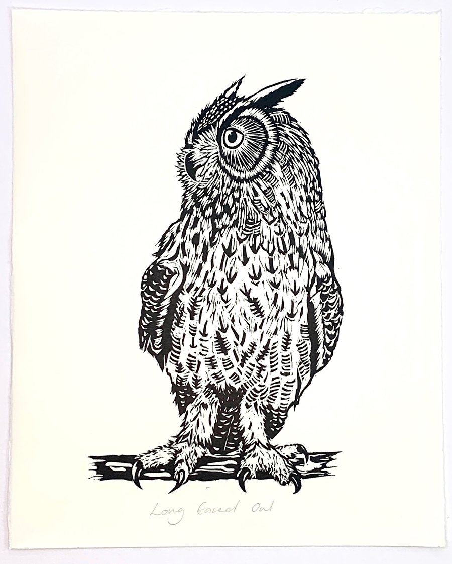 Long Eared Owl