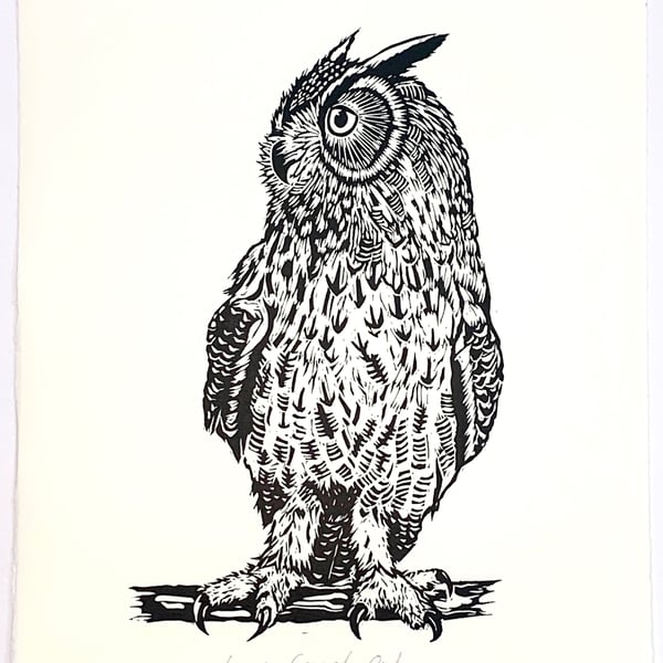 Long Eared Owl