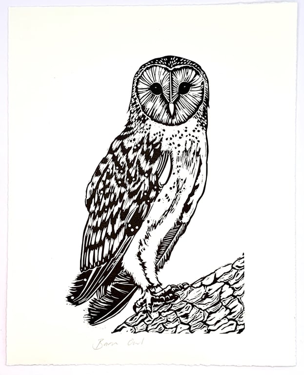 Barn Owl - Lino Print